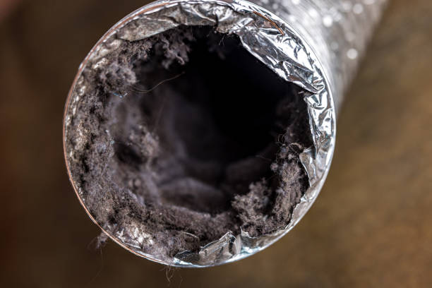 Best Air Duct Cleaning Company Near Me  in Springdale, AR